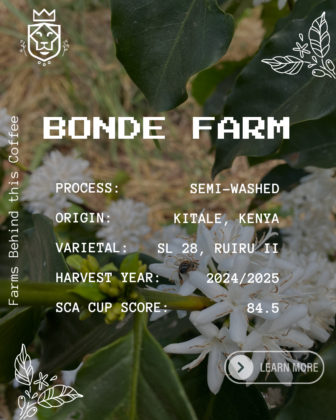 Lunar Blend: Medium Roast 200g