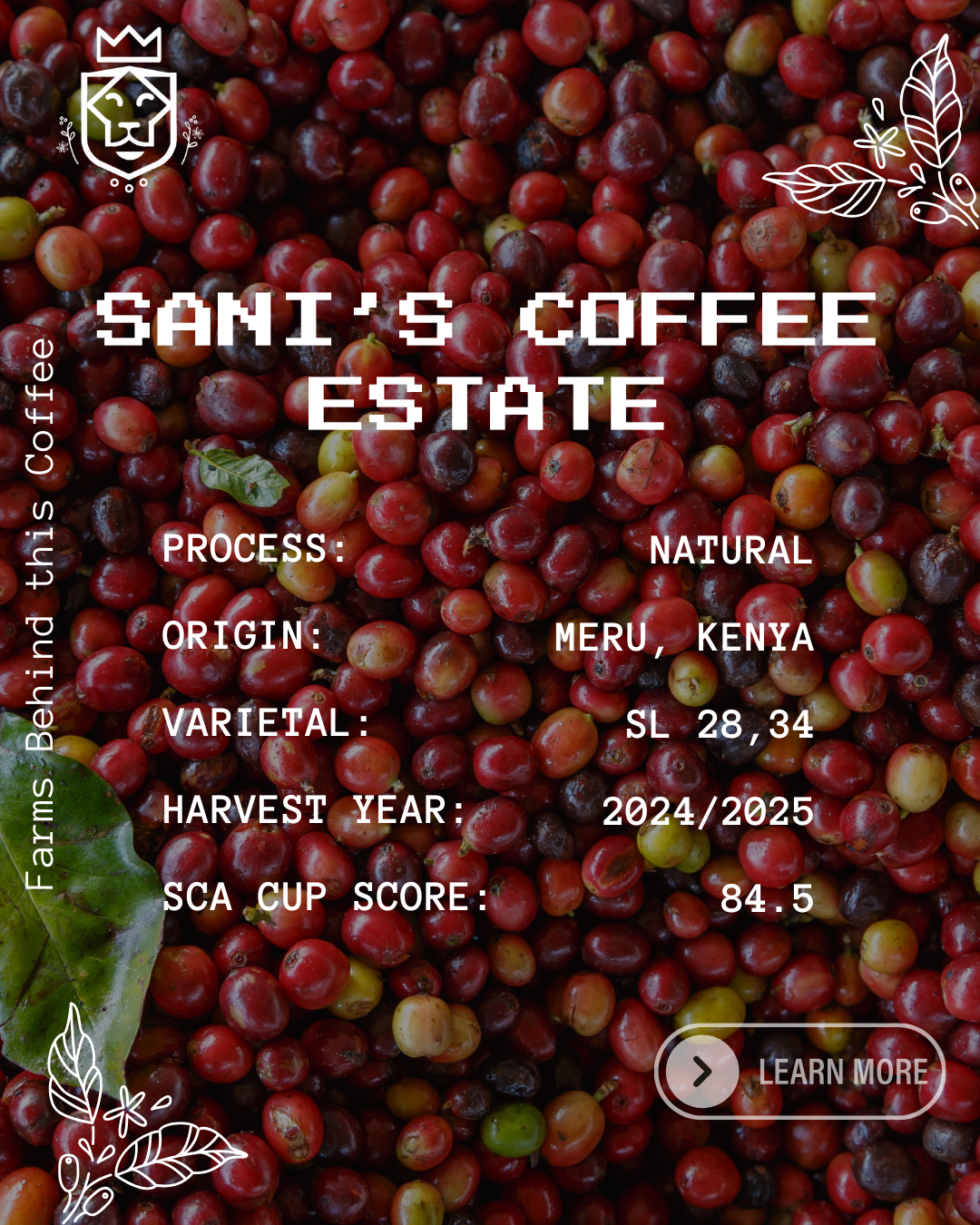 Lunar Blend: Medium Roast 200g